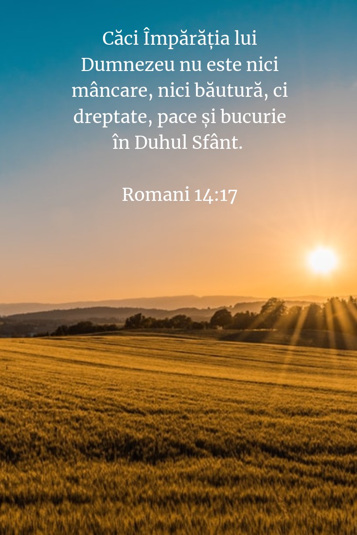 Căci Împărăția lui Dumnezeu nu este nici mâncare, nici băutură, ci dreptate, pace și bucurie în Duhul Sfânt. Romani 14:17