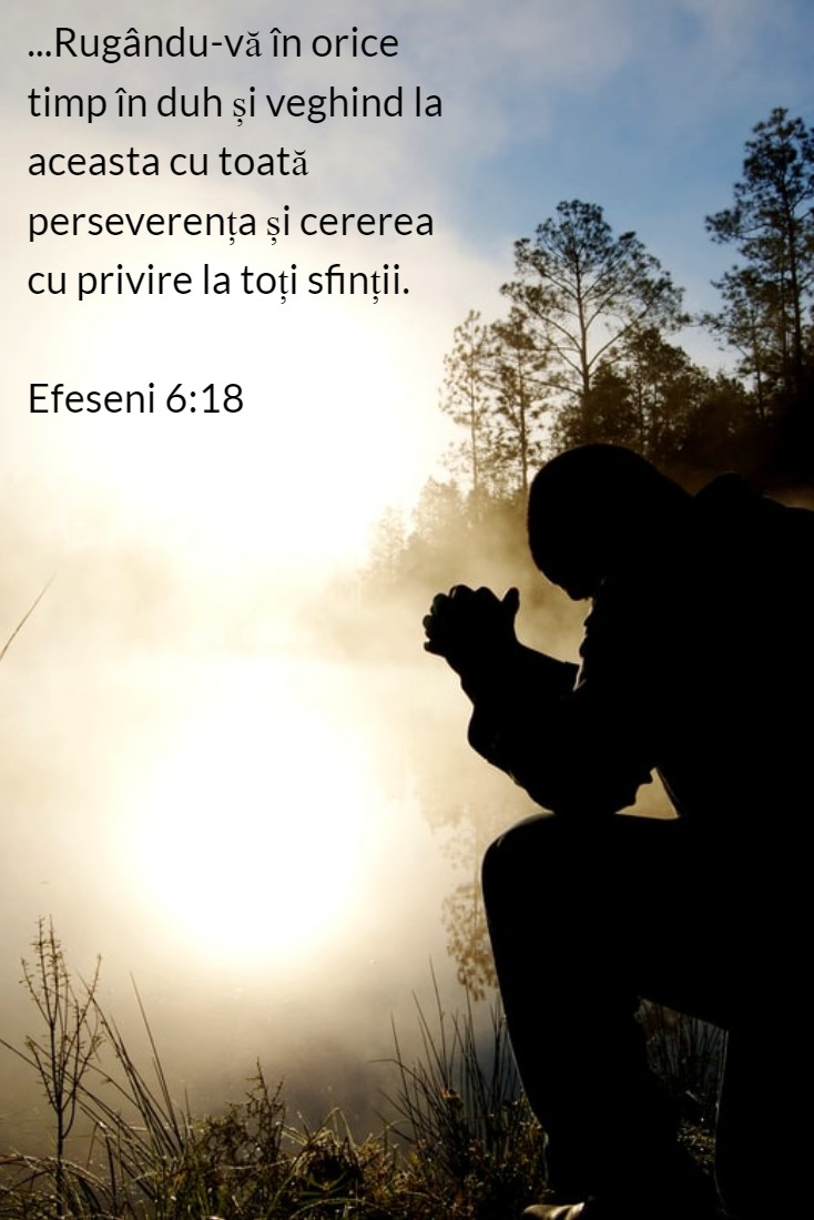 ...Rugându-vă în orice timp în duh și veghind la aceasta cu toată perseverența și cererea cu privire la toți sfinții. Efeseni 6:18