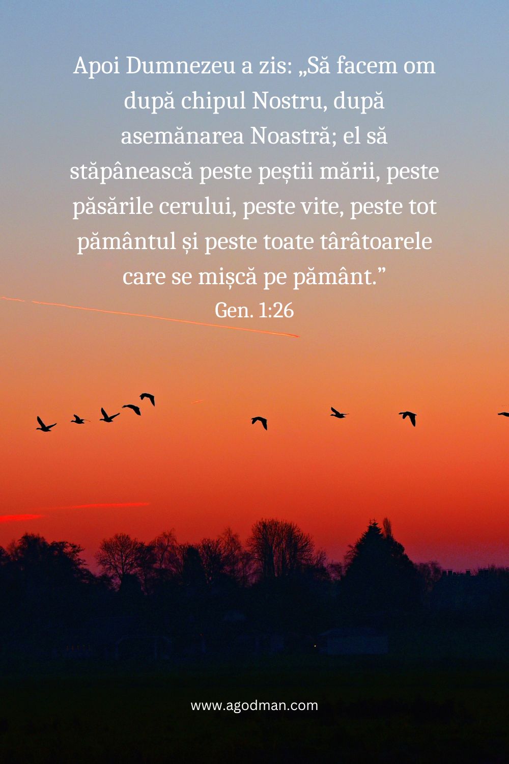 Apoi Dumnezeu a zis: „Să facem om după chipul Nostru, după asemănarea Noastră; el să stăpânească peste peștii mării, peste păsările cerului, peste vite, peste tot pământul și peste toate târâtoarele care se mișcă pe pământ.” Gen. 1:26