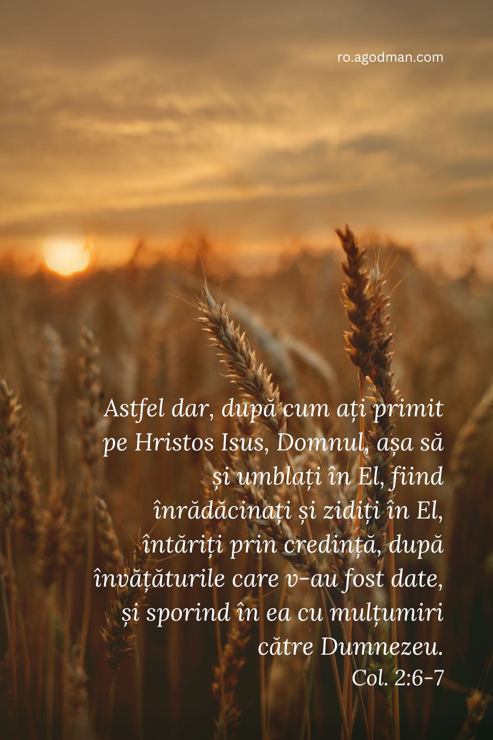 Astfel dar, după cum ați primit pe Hristos Isus, Domnul, așa să și umblați în El, fiind înrădăcinați și zidiți în El, întăriți prin credință, după învățăturile care v-au fost date, și sporind în ea cu mulțumiri către Dumnezeu. Col. 2:6-7