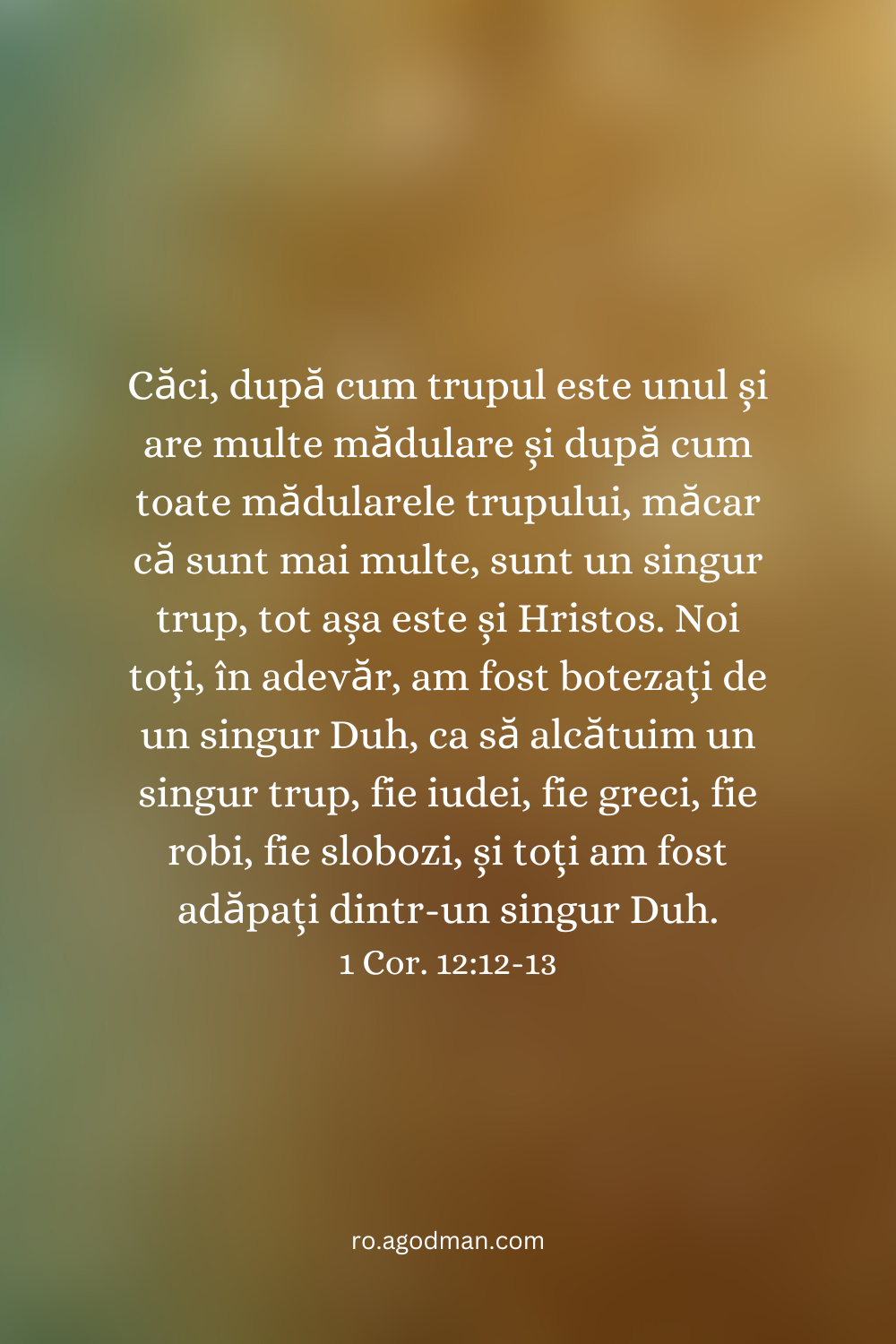 Căci, după cum trupul este unul și are multe mădulare și după cum toate mădularele trupului, măcar că sunt mai multe, sunt un singur trup, tot așa este și Hristos. Noi toți, în adevăr, am fost botezați de un singur Duh, ca să alcătuim un singur trup, fie iudei, fie greci, fie robi, fie slobozi, și toți am fost adăpați dintr-un singur Duh. 1 Cor. 12:12-13