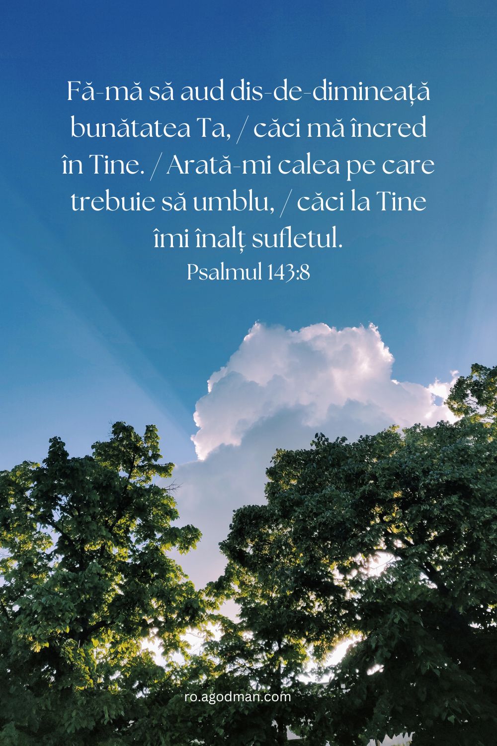 Fă-mă să aud dis-de-dimineață bunătatea Ta, / căci mă încred în Tine. / Arată-mi calea pe care trebuie să umblu, / căci la Tine îmi înalț sufletul. Psalmul 143:8
