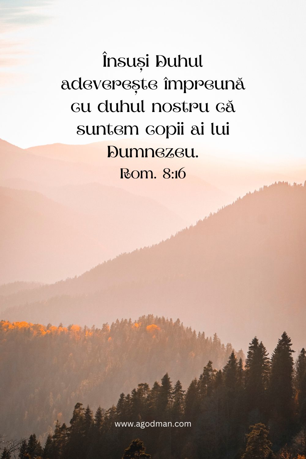 Însuși Duhul adeverește împreună cu duhul nostru că suntem copii ai lui Dumnezeu. Rom. 8:16