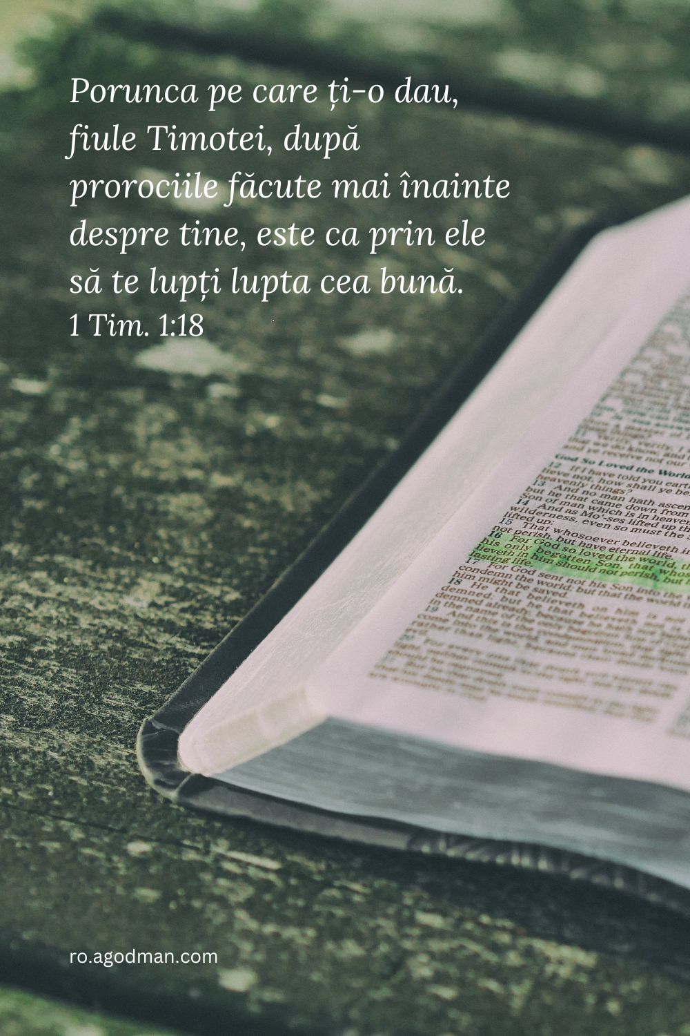 Porunca pe care ți-o dau, fiule Timotei, după prorociile făcute mai înainte despre tine, este ca prin ele să te lupți lupta cea bună. 1 Tim. 1:18