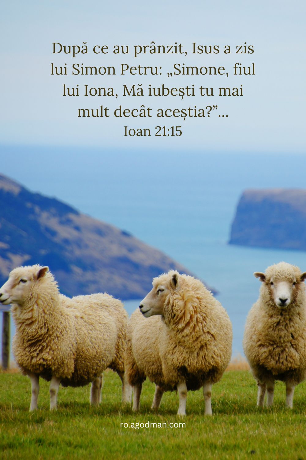 După ce au prânzit, Isus a zis lui Simon Petru: „Simone, fiul lui Iona, Mă iubești tu mai mult decât aceștia?”... Ioan 21:15