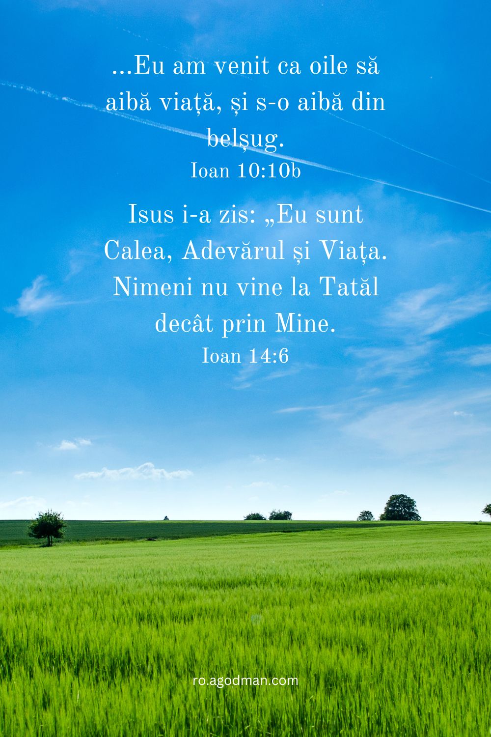 ...Eu am venit ca oile să aibă viață, și s-o aibă din belșug. Ioan 10:10b Isus i-a zis: „Eu sunt Calea, Adevărul și Viața. Nimeni nu vine la Tatăl decât prin Mine. Ioan 14:6 