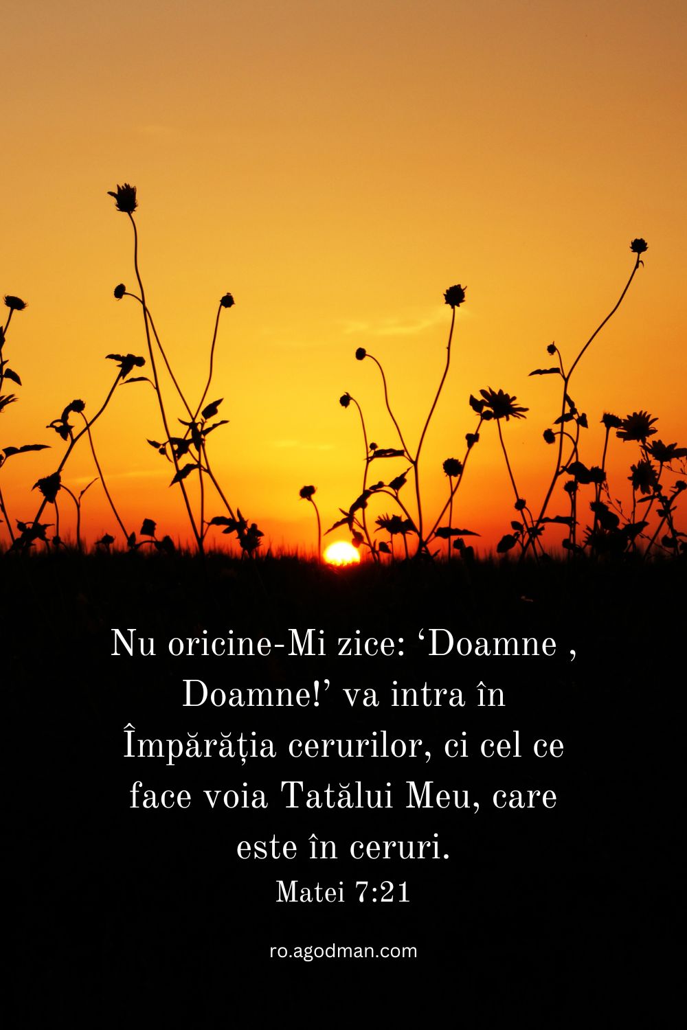 Nu oricine-Mi zice: ‘Doamne , Doamne!’ va intra în Împărăția cerurilor, ci cel ce face voia Tatălui Meu, care este în ceruri. Matei 7:21