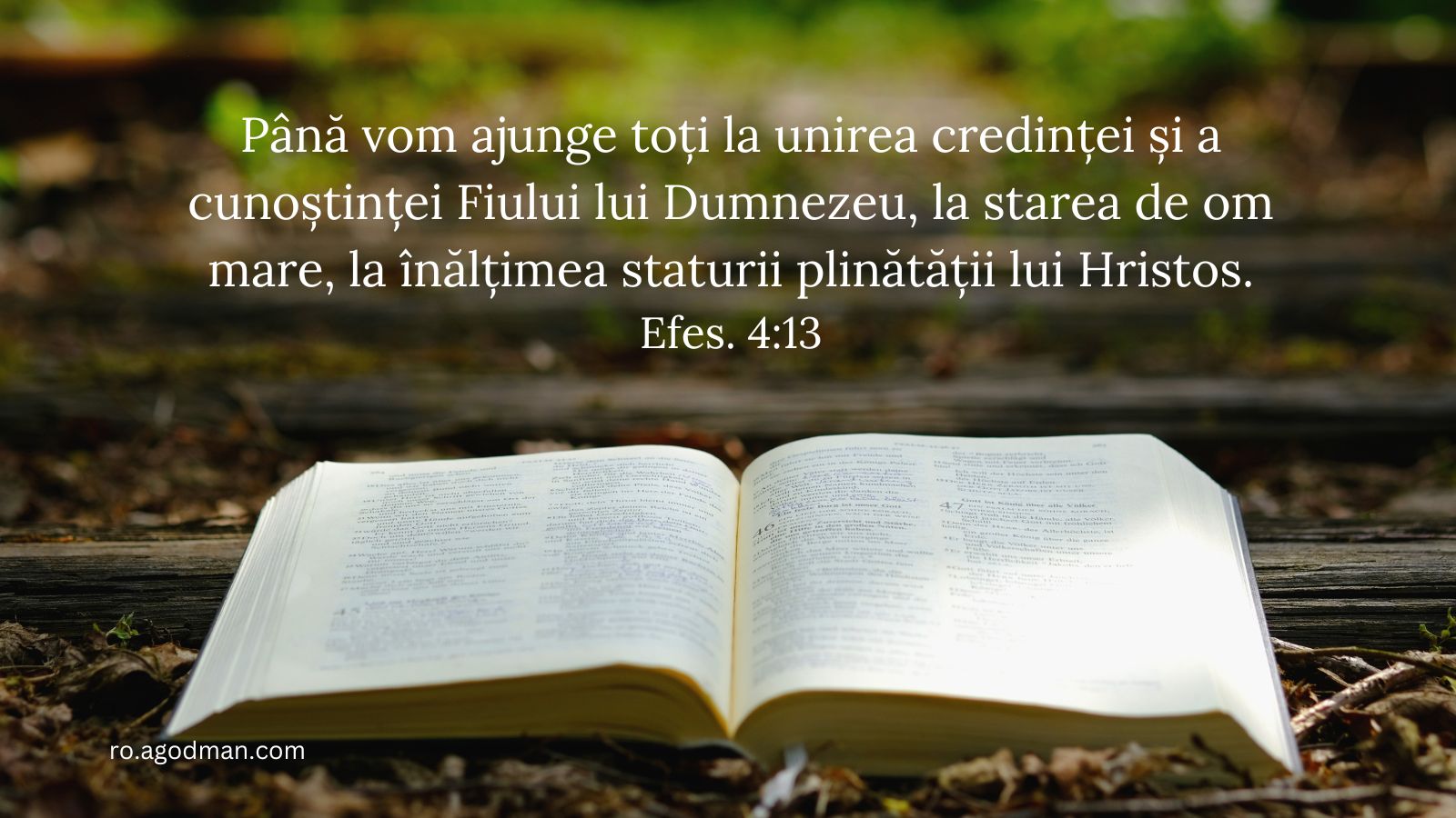 Până vom ajunge toți la unirea credinței și a cunoștinței Fiului lui Dumnezeu, la starea de om mare, la înălțimea staturii plinătății lui Hristos. Efes. 4:13