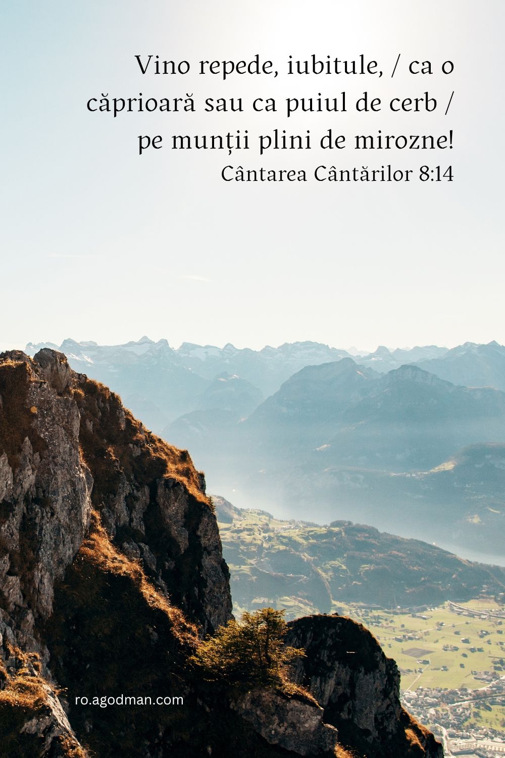 Vino repede, iubitule, / ca o căprioară sau ca puiul de cerb / pe munții plini de mirozne! Cântarea Cântărilor 8:14